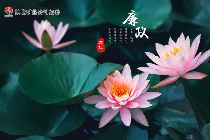 1650332133606497.jpeg 3.jpg