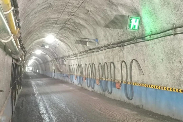 1665627095242548.jpeg 11.jpg