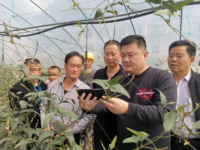 1665913918777244.jpeg 201.jpg