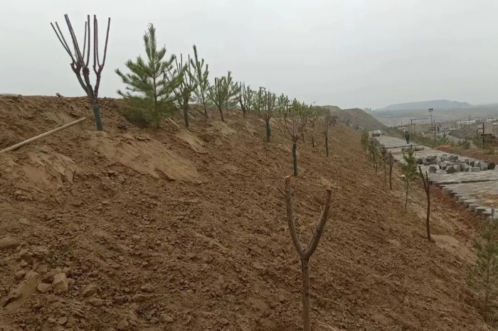 1683840265564172.jpeg 111.jpg