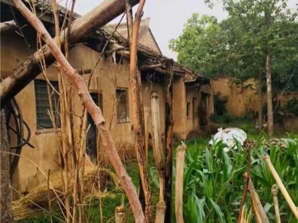 1698137097347101.png 34523.png