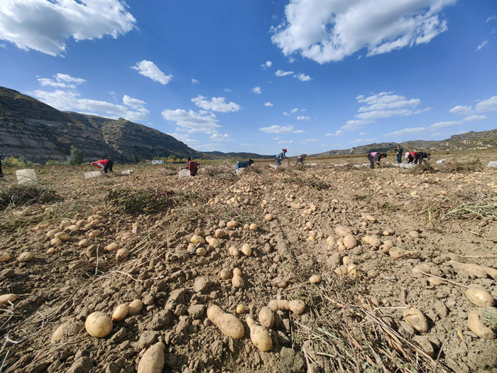 1698474570349168.jpeg 2af07f78531752a46b19e621358dffb.jpg