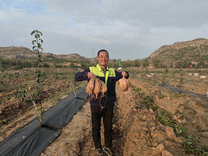 1698474590509502.jpeg 180febf987da503e533cc32e26cc63b.jpg