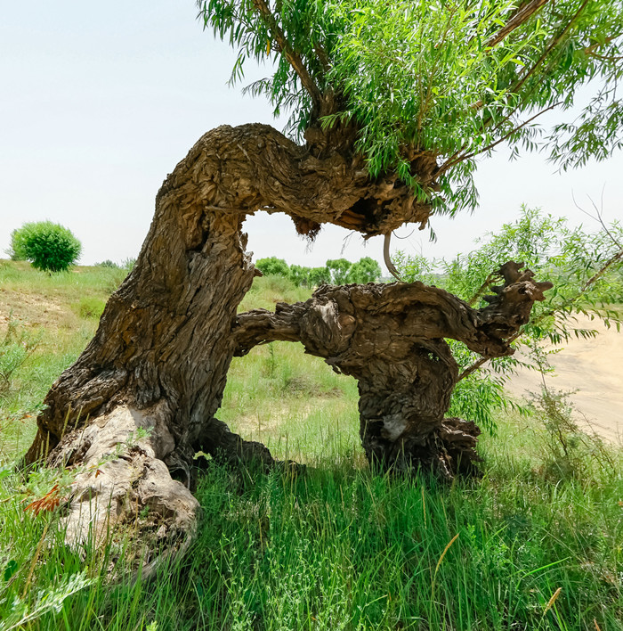 1701241141582369.jpeg 20170709-_T8A3305_¸±±¾.jpg