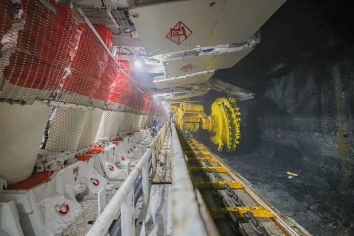 1703063098365052.jpeg 11.jpg