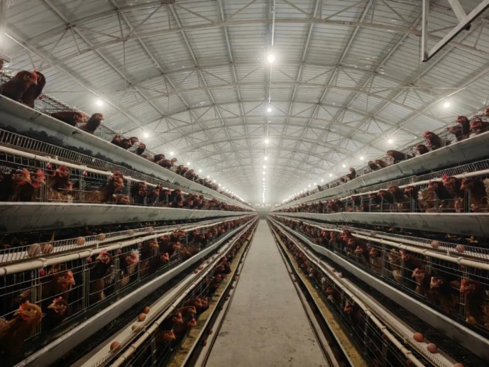 1709339111724867.jpeg 44.jpg