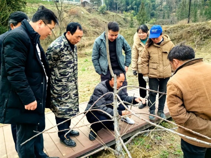 1709385856658737.jpeg 11.jpg