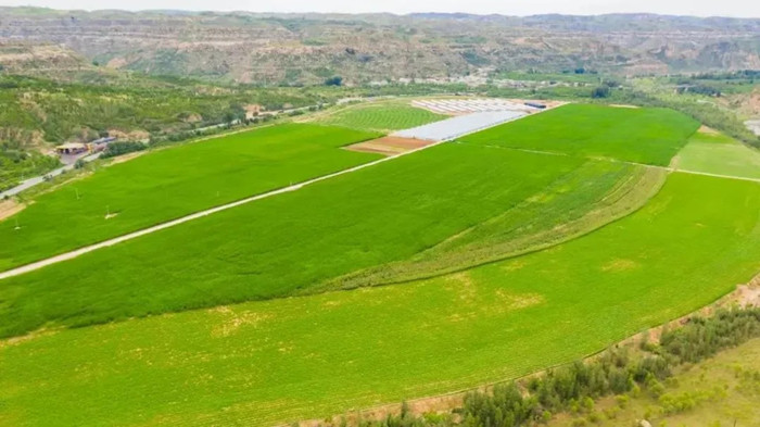 1720858031732294.jpeg 333.jpg