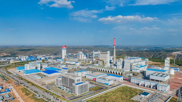 1729168840403278.jpeg 555~1.jpg