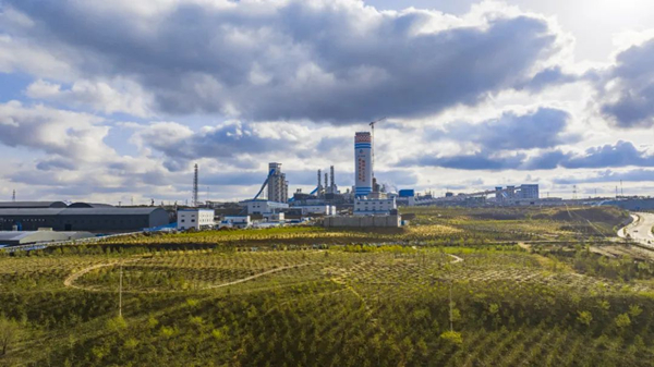 1733055884994368.jpeg 444.jpg