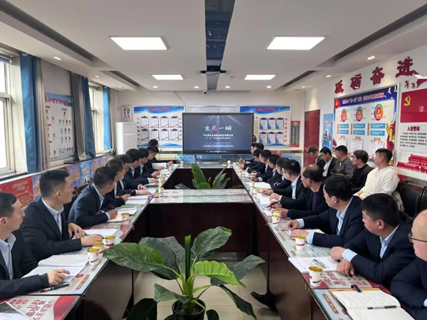 1750379108842443.jpeg 555.jpg