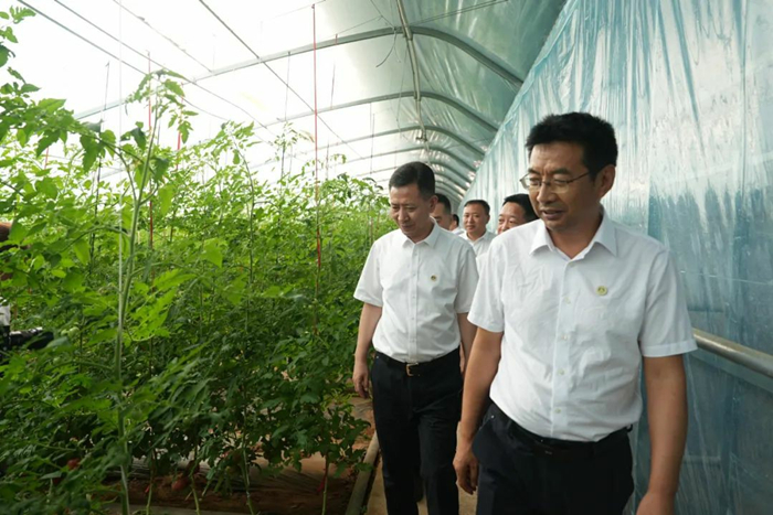 1752448073202346.jpeg 444.jpg