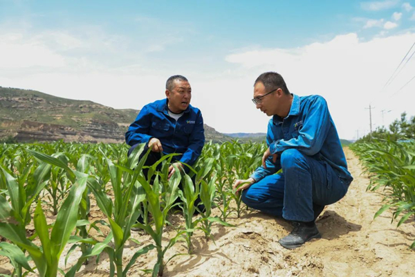 1753362081985829.jpeg 11.jpg