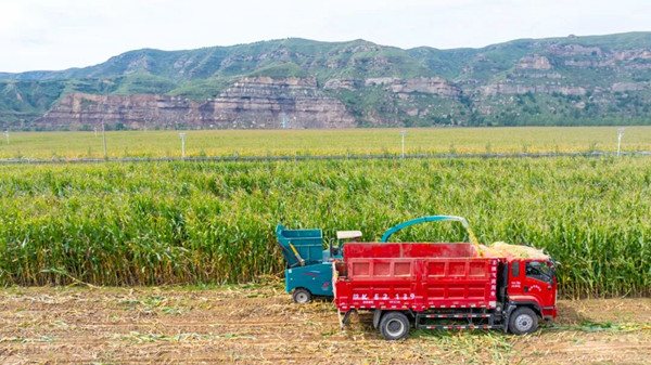 1757647988784366.jpeg 640.jpg