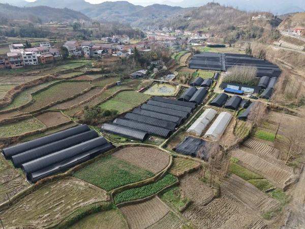 1774711641581379.jpeg 111_副本.jpg