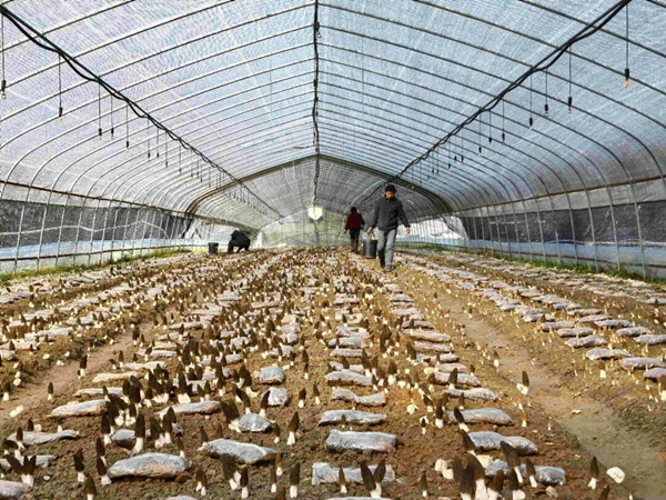 1774711654132874.jpeg 222_副本.jpg