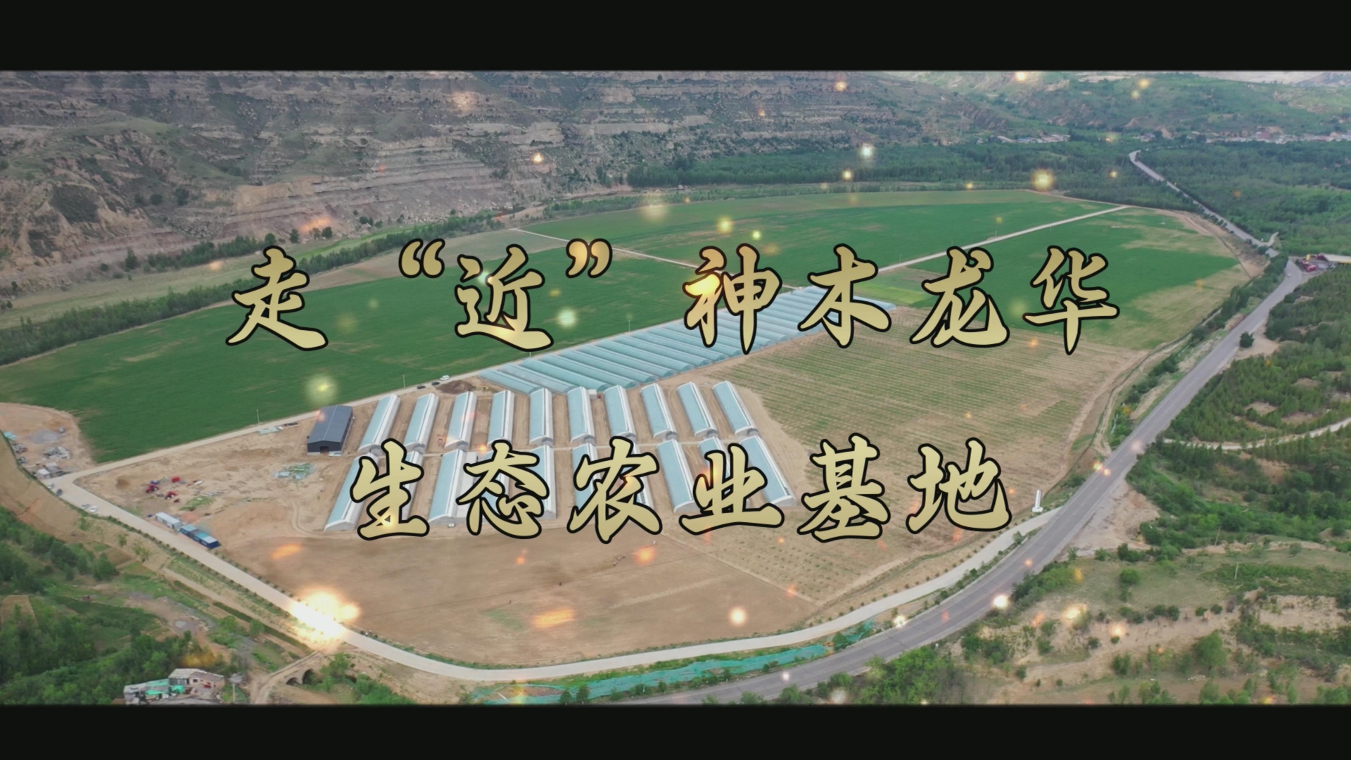 ������Ǯlzyq88(�й�)���޹�˾