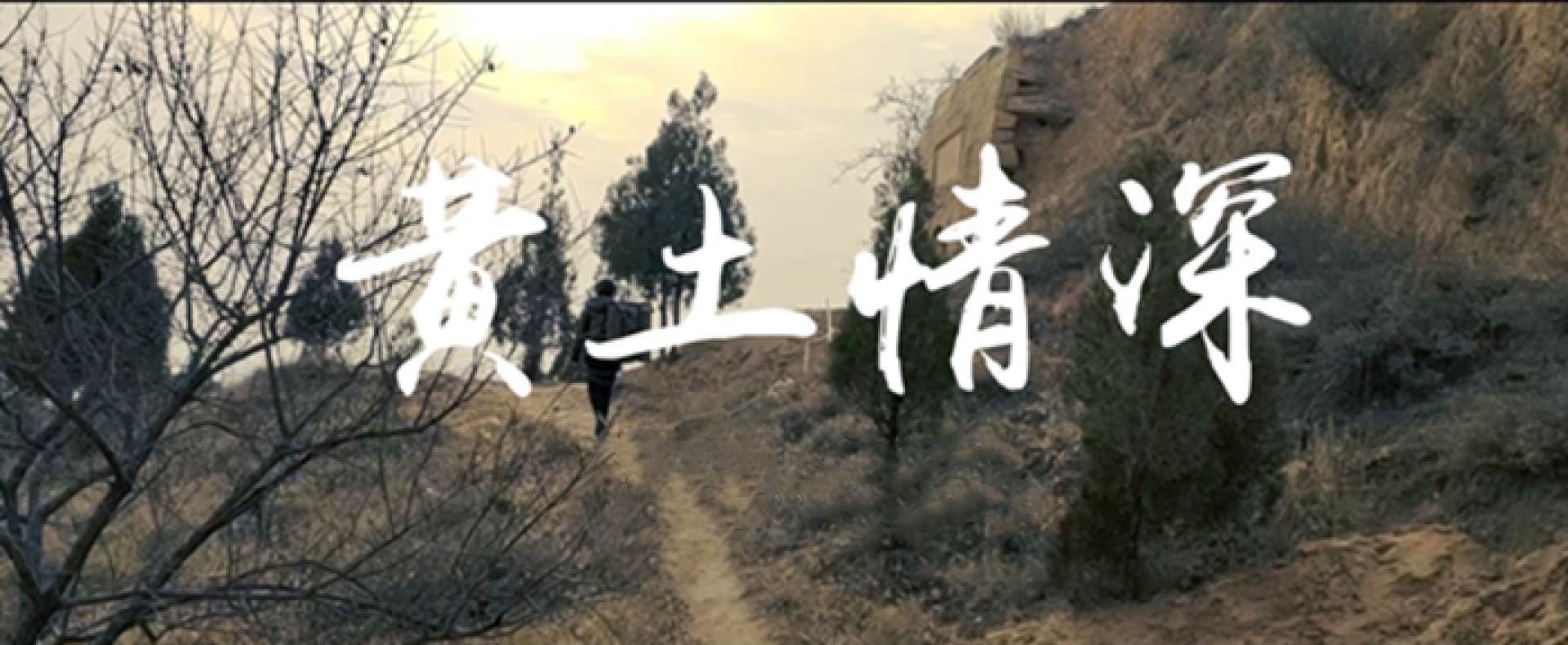 ������Ǯlzyq88(�й�)���޹�˾